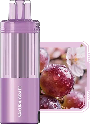 CM VAPE,Crystal Mary,Kiwi Dragon Berry